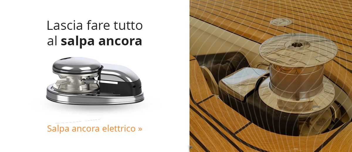 Salpa ancora